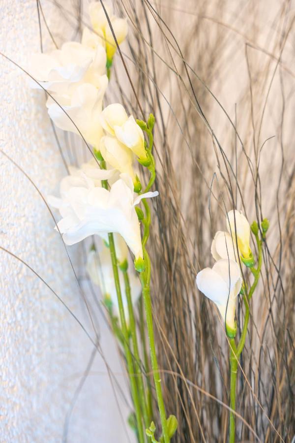#1 Modernes Mit Pool Und Garten *